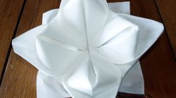imagesPliage-serviette-1.jpg